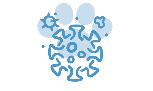 An Image Showing The Diagram Of A Pest or didease