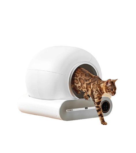 A cat Coming down from Keblam Automatic Cat Litter Box