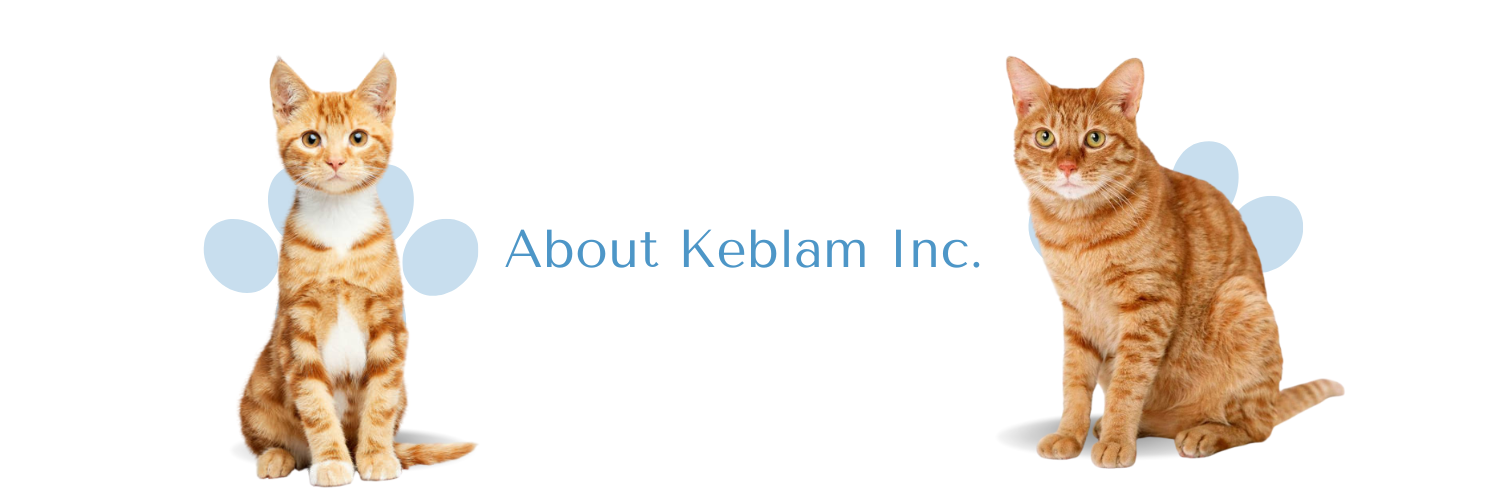 Keblam Inc Banner Design_ -_ About Us Image with two cat