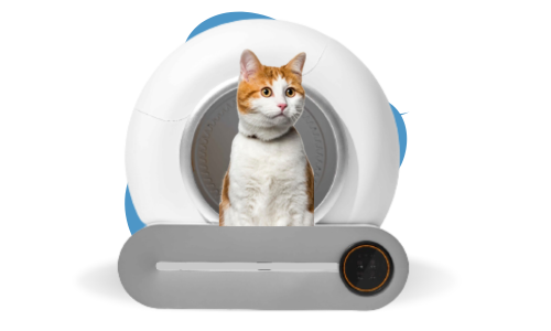 Keblam Inc Image Showing A cat in The Automatic Cat Litter Box